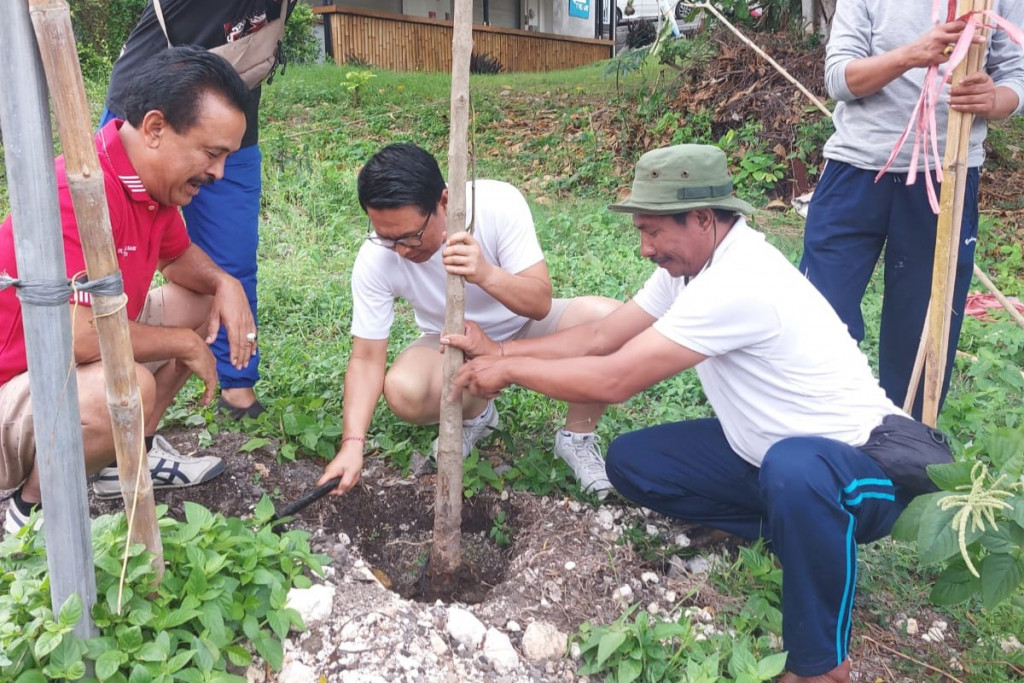 Hijaukan Jalan Labuan Sait dengan 1000 Tabebuya